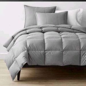 Light Grey Plain