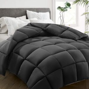 Dark Grey & White Plain