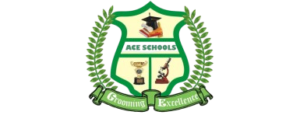 Ace Schools